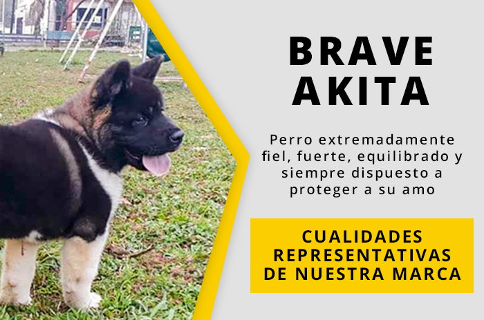 braki